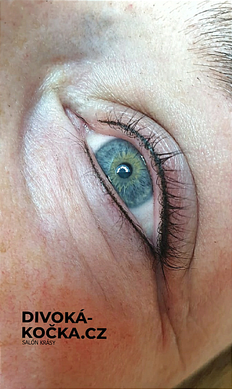 Permanentní make-up