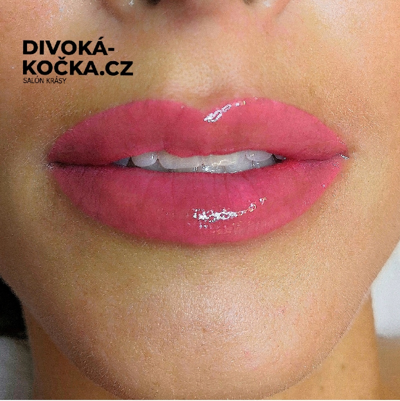 Permanentní make-up rtů